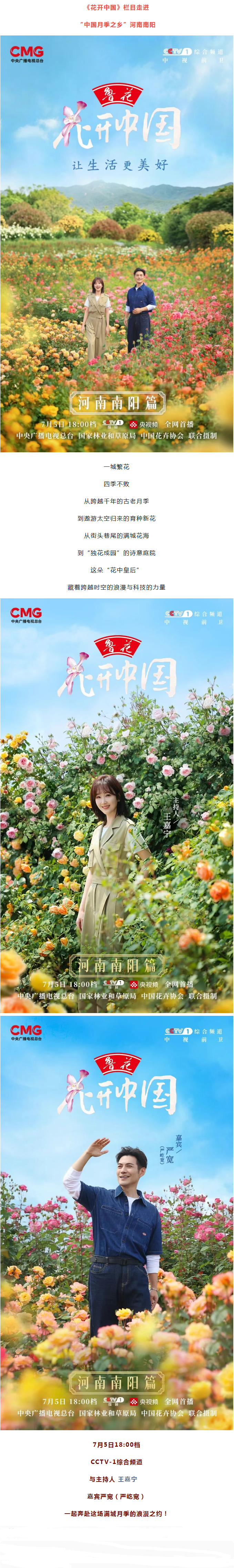 7月5日18:00档央视《花开中国》栏目走进“中国月季之乡”河南南阳