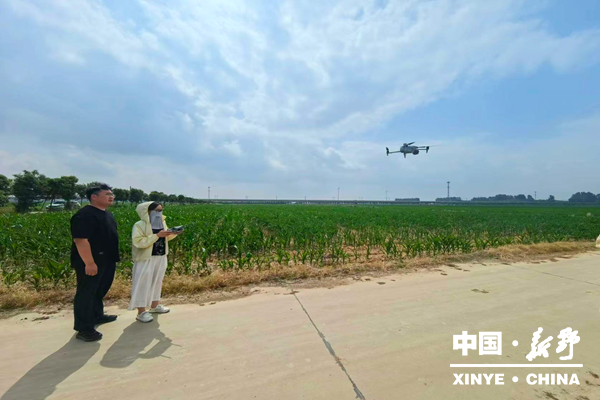 县统计局扎实开展2026年夏播农作物面积实地调查工作 县统计局扎实开展2026年夏播农作物面积实地调查工作