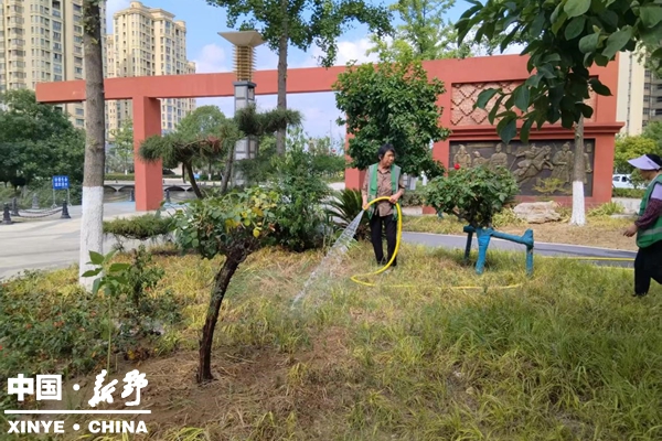 县城管局园林中心高温抗旱护绿行动全面开展 县城管局园林中心高温抗旱护绿行动全面开展