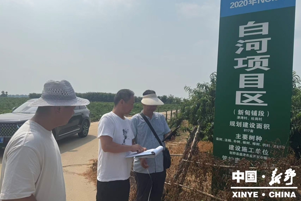 县审计局: 聚焦“两条主线”扎实开展国储林项目专项审计调查 县审计局: 聚焦“两条主线”扎实开展国储林项目专项审计调查