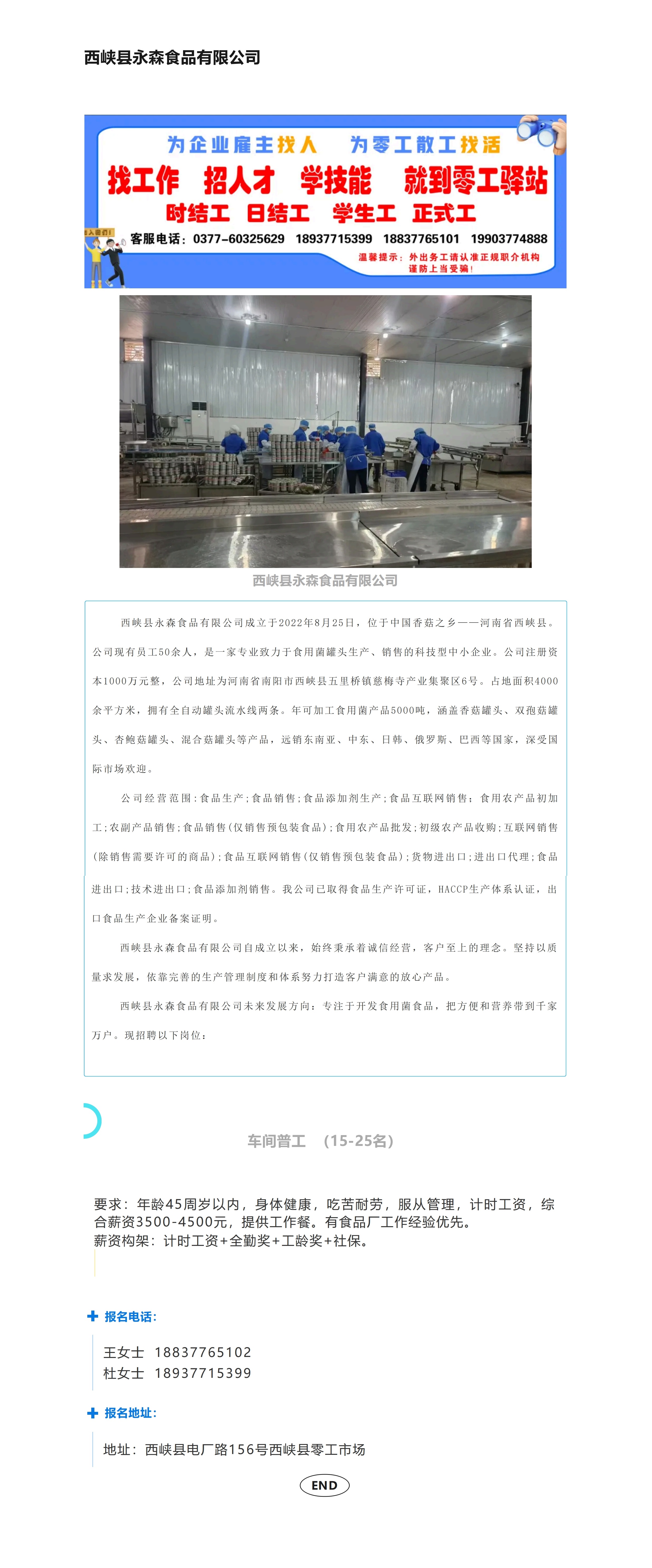 西峡县永森食品有限公司 招聘（2026.07.17）