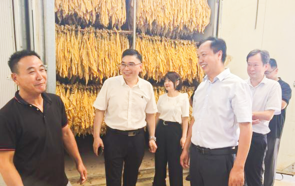 南阳市召开烟叶生产观摩会议 南阳市召开烟叶生产观摩会议