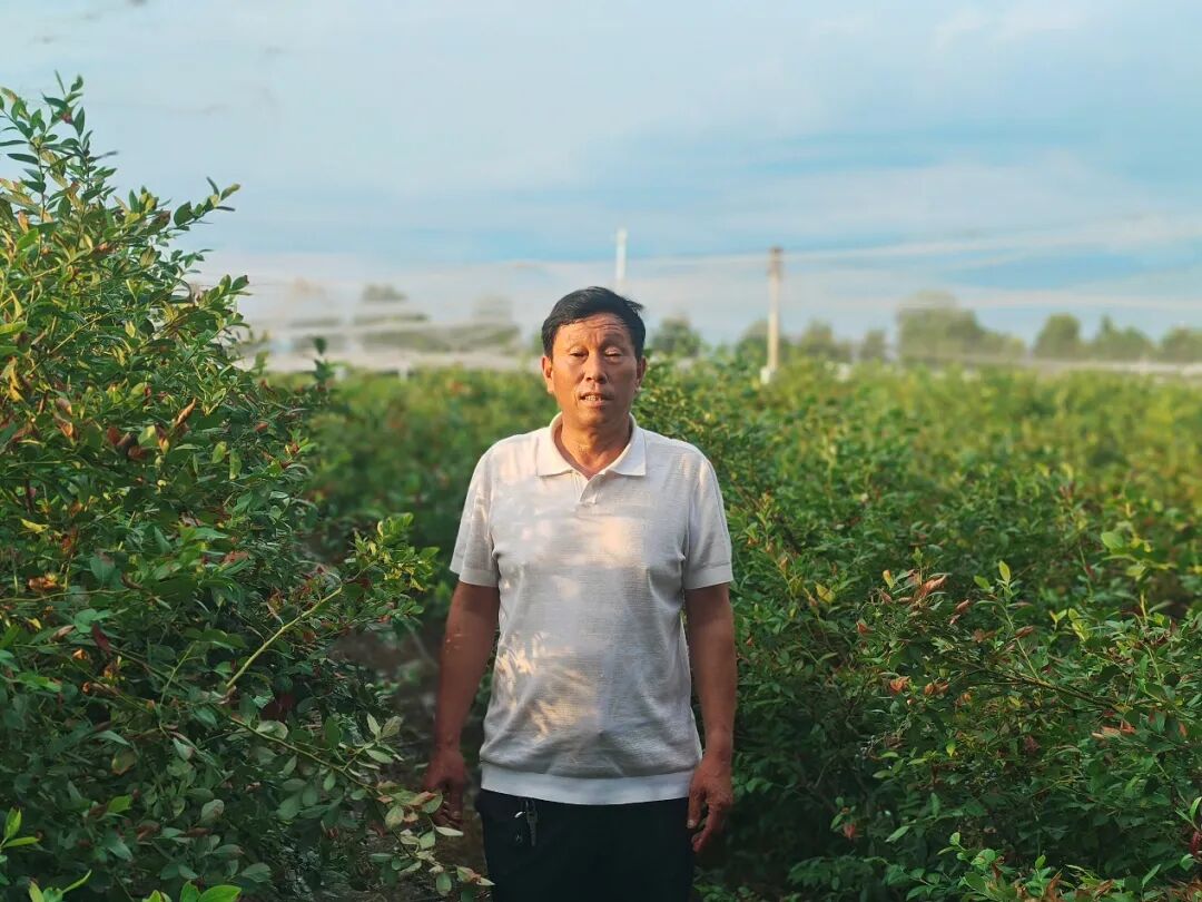 社旗县:三薪农民、满村书香 解码何营村“共富密码” 社旗县:三薪农民、满村书香 解码何营村“共富密码”