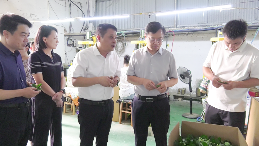 关文波到郝寨镇调研时强调:坚持四个重抓不动摇 推动高质量发展高效能治理取得新成效 关文波到郝寨镇调研时强调:坚持四个重抓不动摇 推动高质量发展高效能治理取得新成效