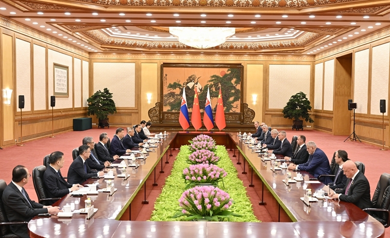 习近平同斯洛伐克总统佩列格里尼会谈 习近平同斯洛伐克总统佩列格里尼会谈