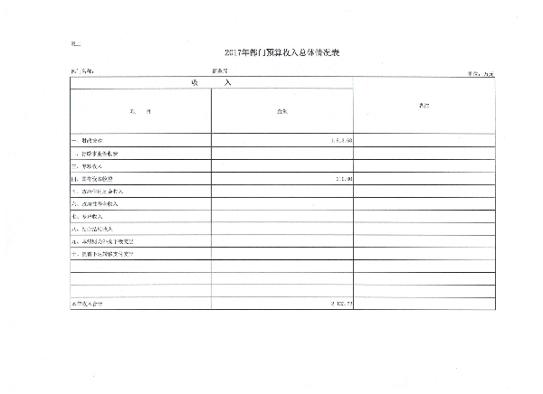 表二 部门收入总体情况表