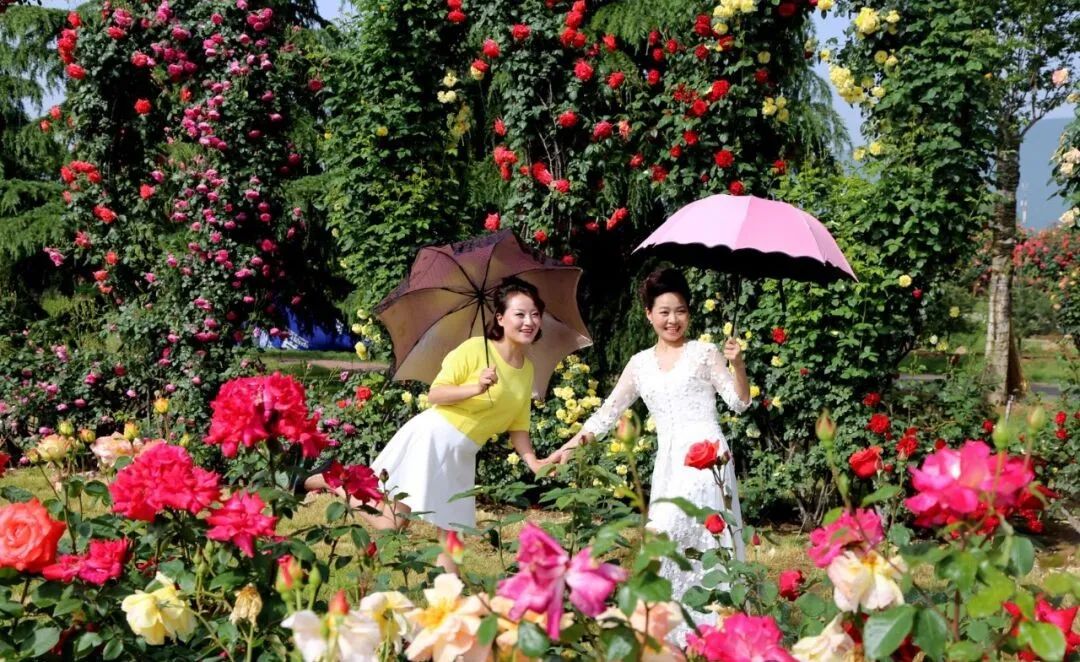 图片11.jpg